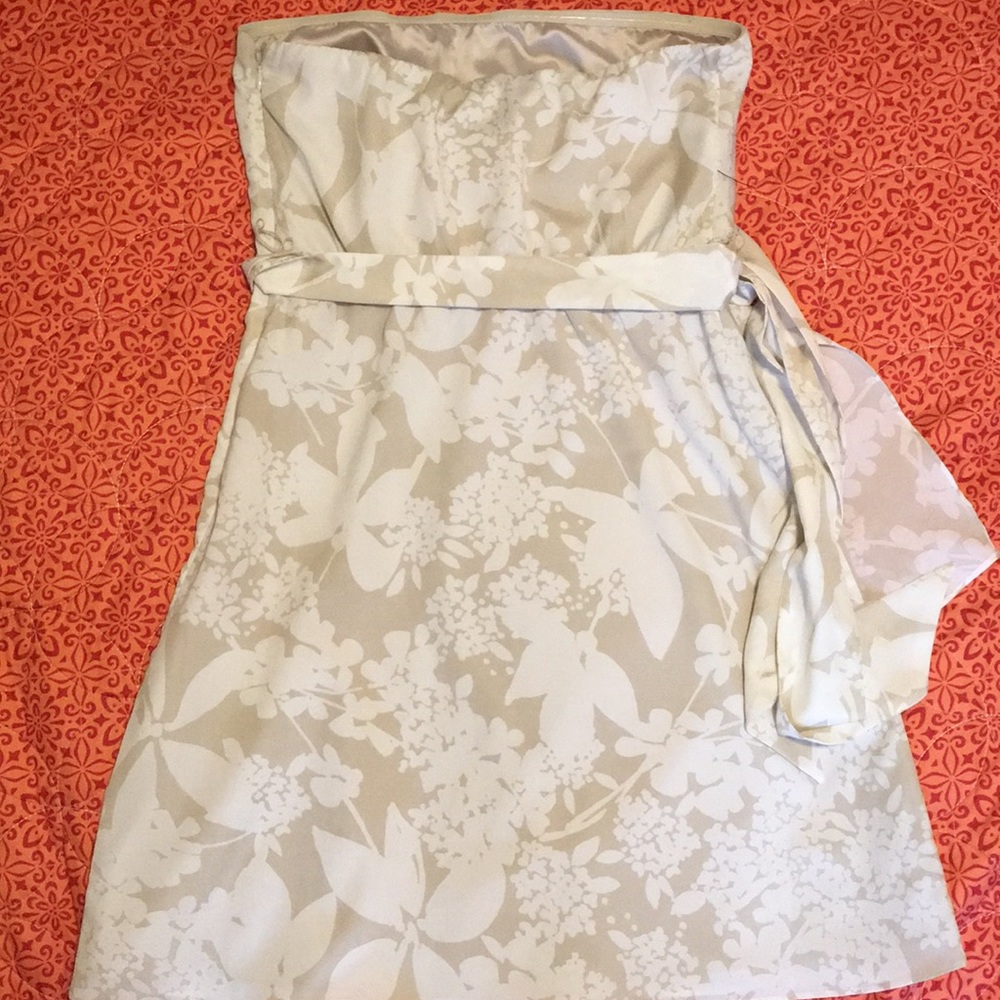 Express Dress - Picture 2 of 3